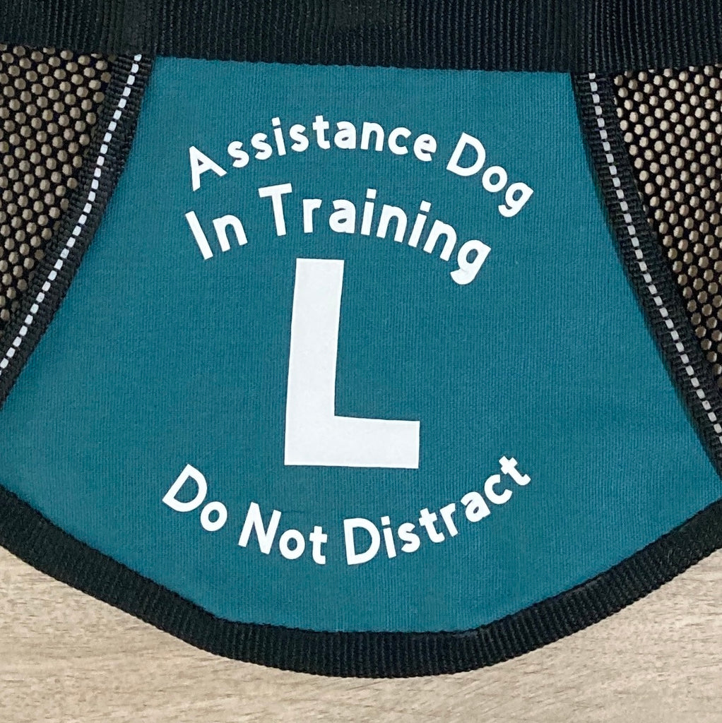 Custom Made One Colour Back/Side Print Add on for Dog Training Vest / Coat Order