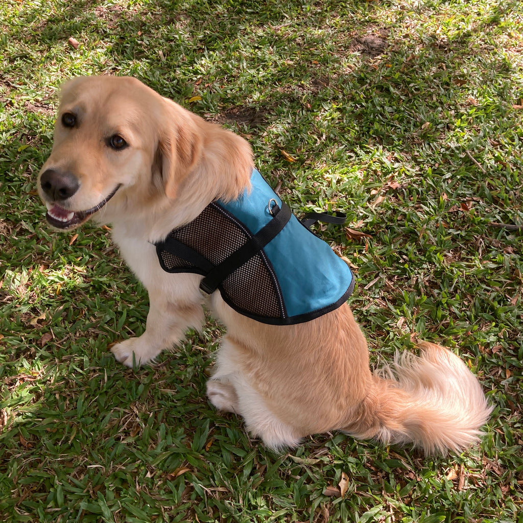 Lightweight Therapy/Assistance Dog Training Jacket / Coat