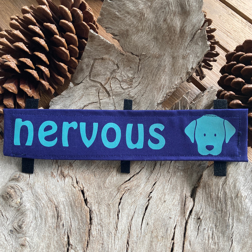 "NERVOUS DOG Lead/Collar Strap" - Navy / Aqua