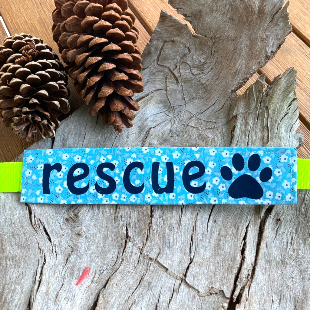 RESCUE Dog Lead/Collar Strap - Aqua Flowers