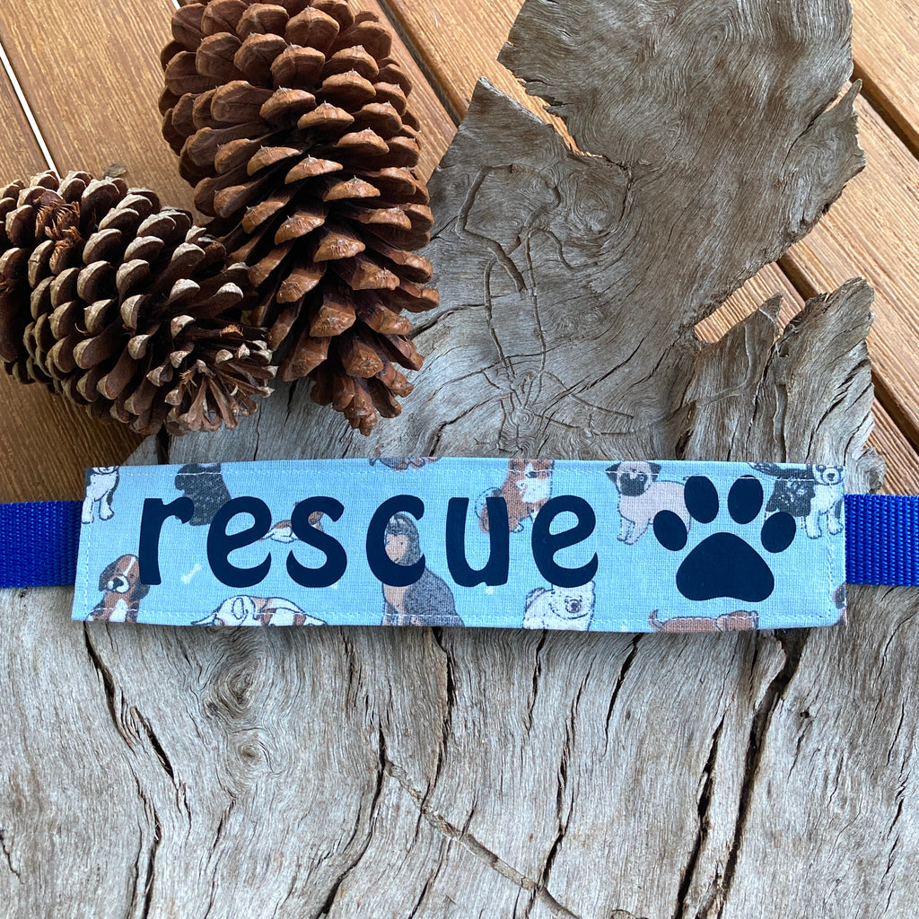 RESCUE Dog Lead/Collar Strap - Sky Blue Dogs