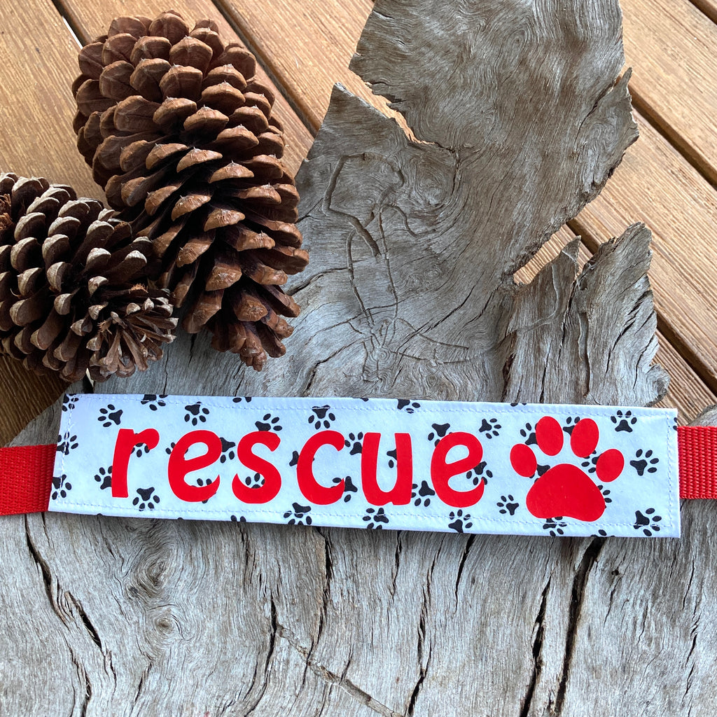 RESCUE Dog Lead/Collar Strap - Paw Prints