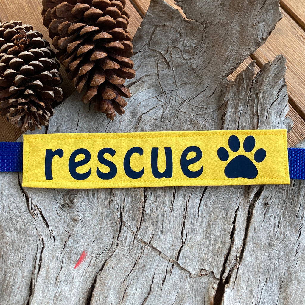 RESCUE Dog Lead/Collar Strap - Yellow