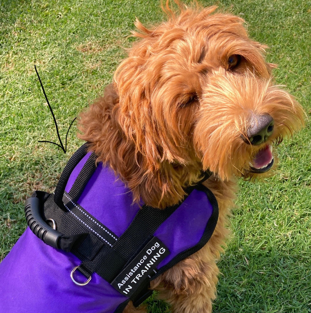 Additional Vertical Handle for Handled Dog Training Coat Order