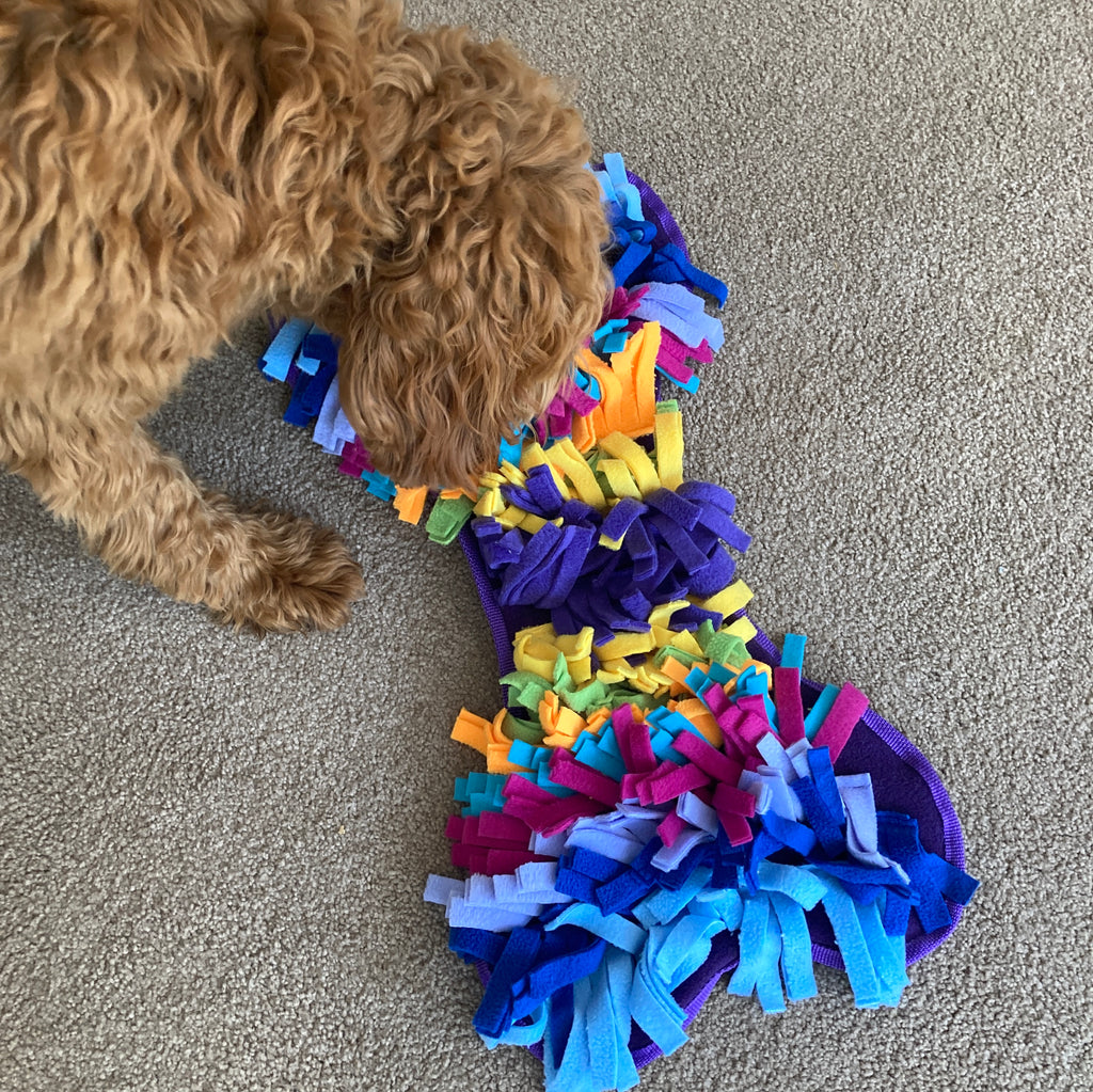 Fleece Snuffle Bone - Dog Enrichment Puzzle