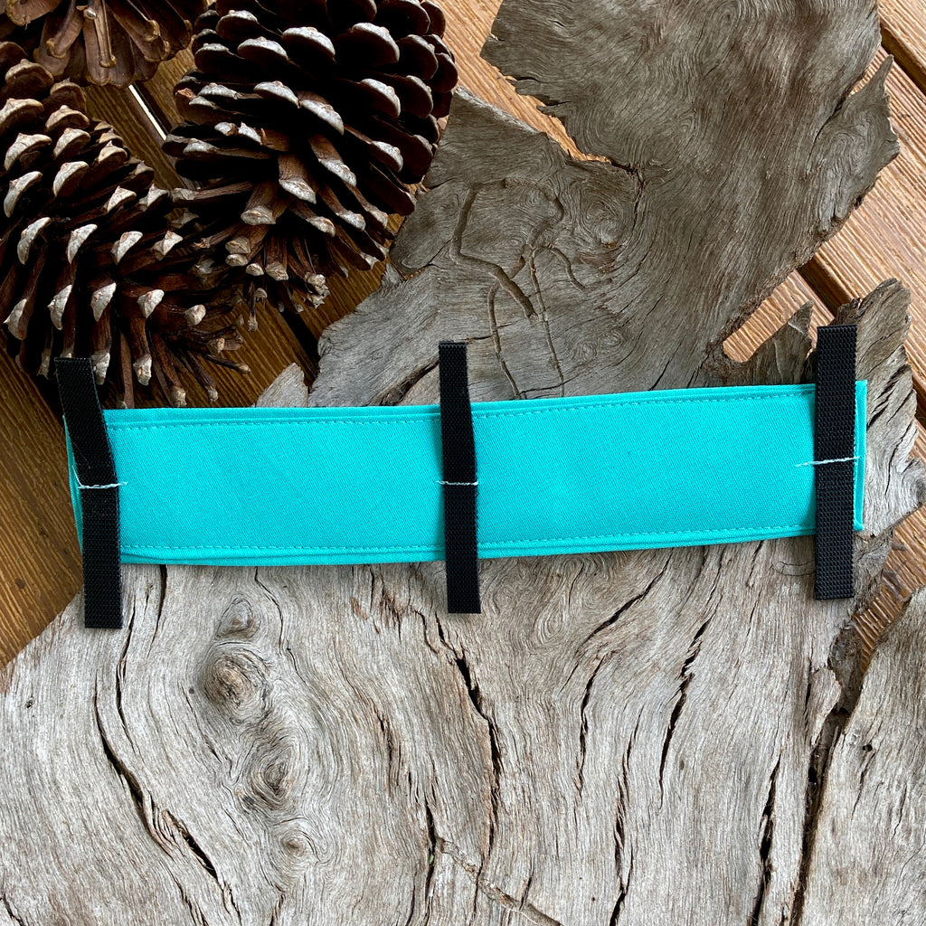 "IN TRAINING" Lead/Collar Strap - Teal Green