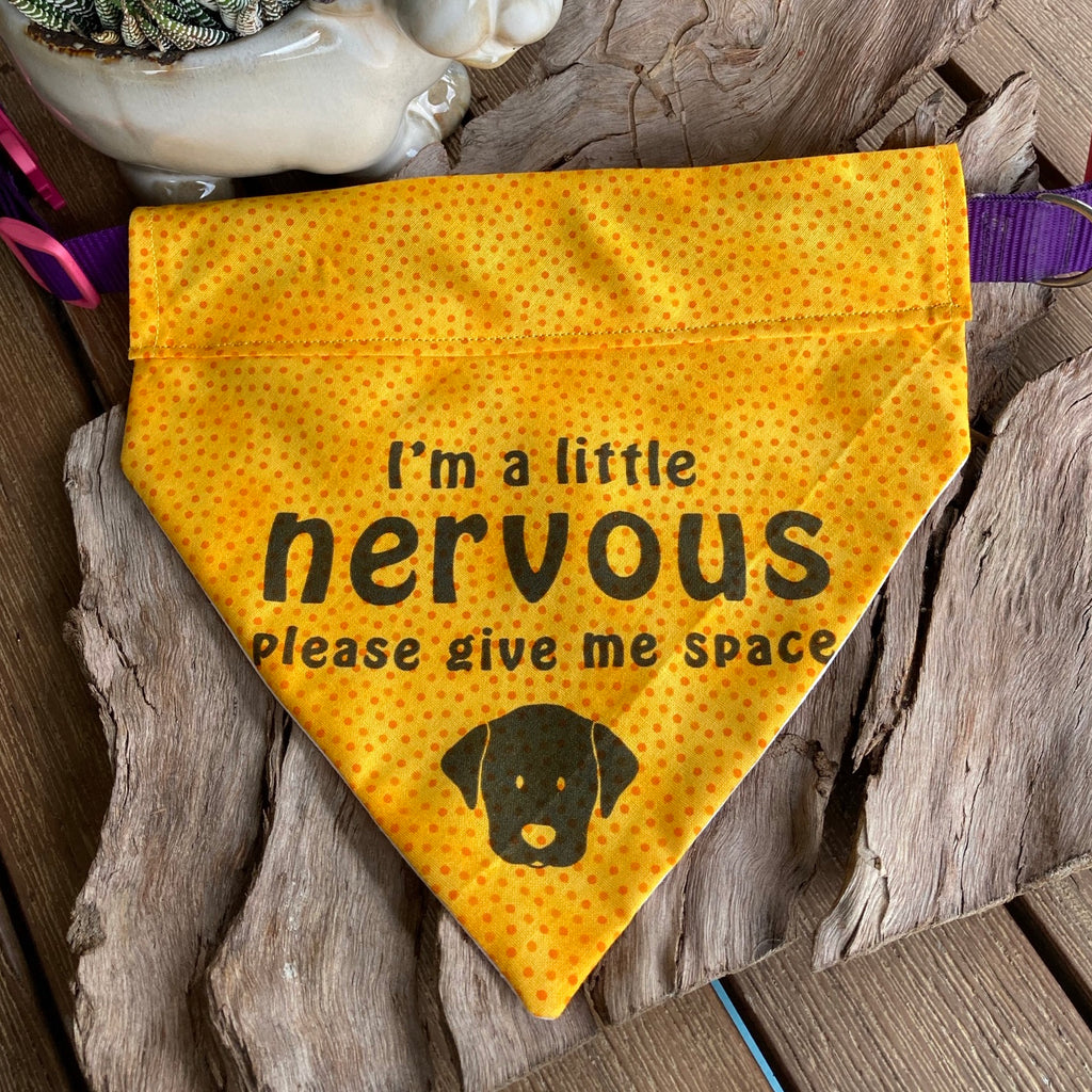 Over the Collar Bandana "NERVOUS DOG Please Give Me Space"