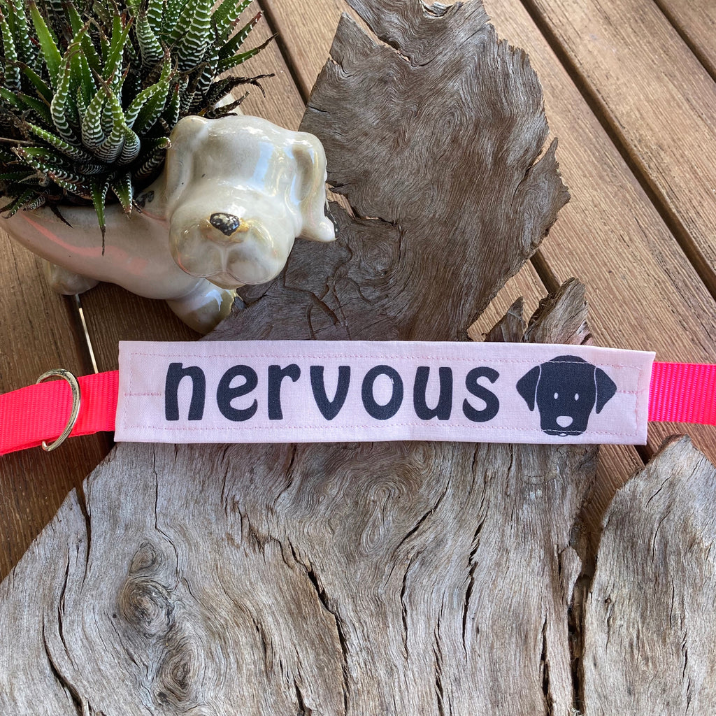 "NERVOUS DOG Bandana and Lead/Collar Strap Set" - Pale Pink