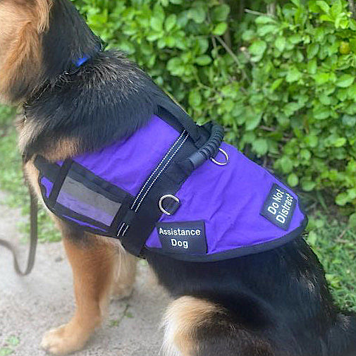 Additional Vertical Handle for Handled Dog Training Coat Order