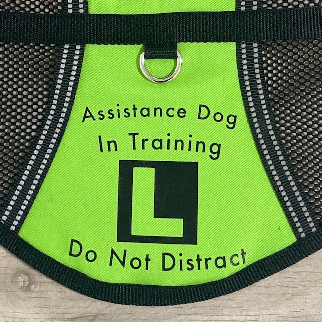 Custom Made One Colour Back/Side Print Add on for Dog Training Vest / Coat Order