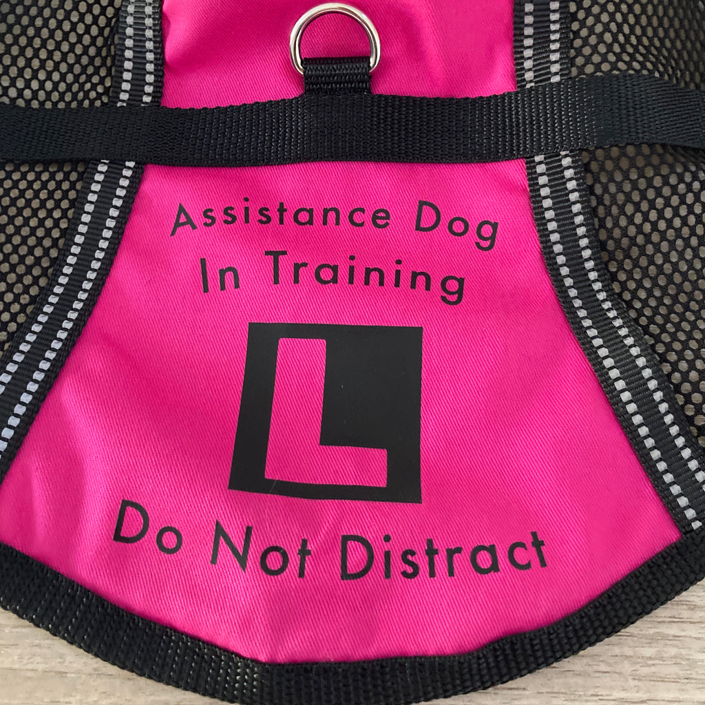 Custom Made One Colour Back/Side Print Add on for Dog Training Vest / Coat Order