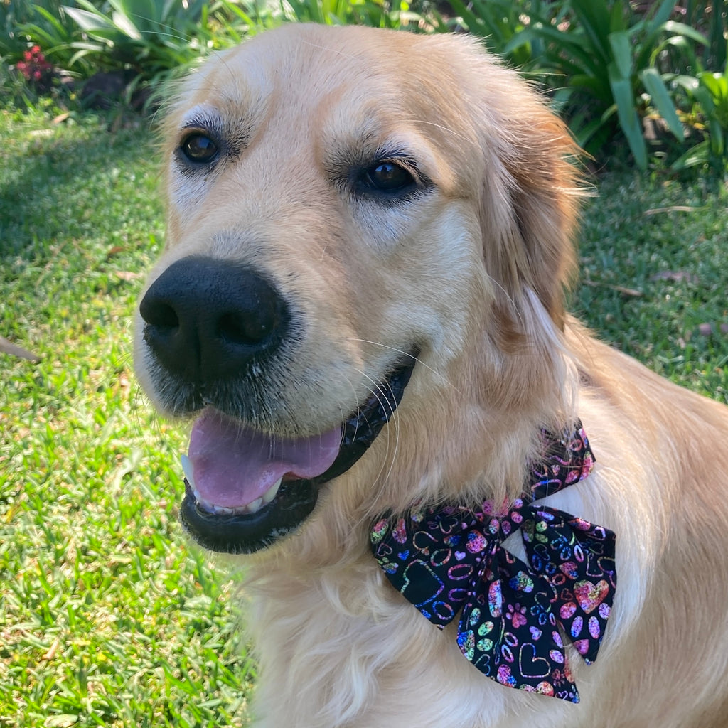 Handmade Dog Sailor Bow, "Pink Paws & Hearts"