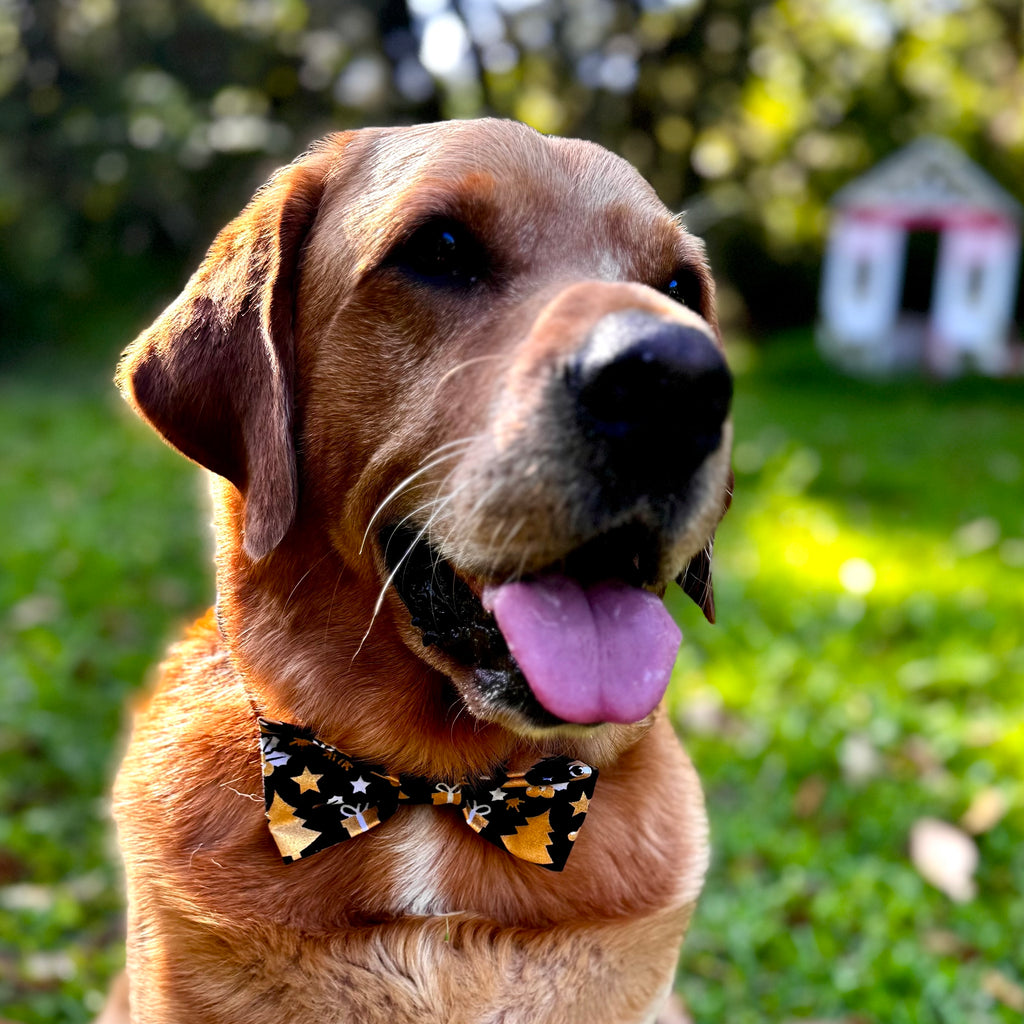 Xmas Bow Tie, BLACK & GOLD FESTIVE FUN