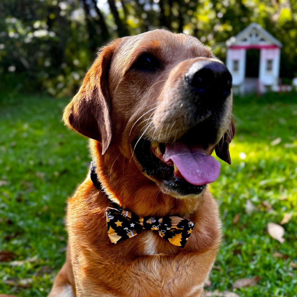 Xmas Bow Tie, BLACK & GOLD FESTIVE FUN