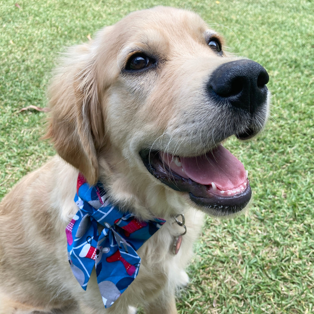 Xmas Dog Sailor Bow - "BLUE KOALAS"
