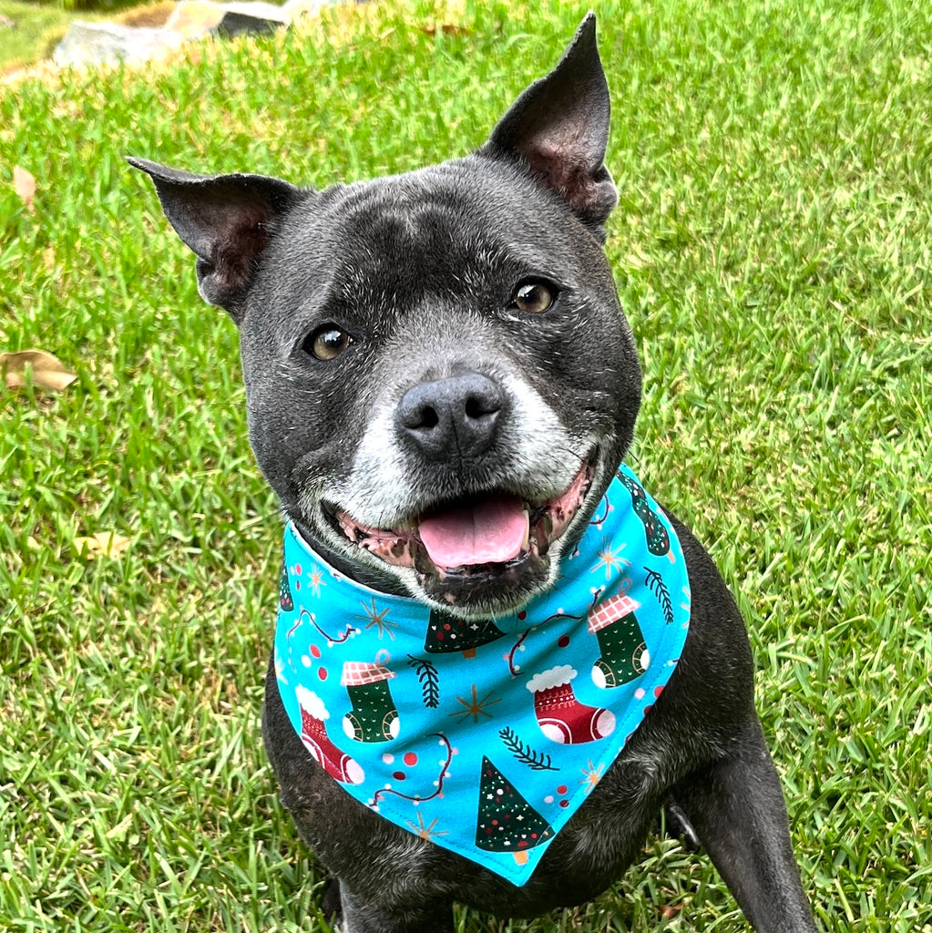 Xmas Dog Bandana, STOCKINGS & TREES