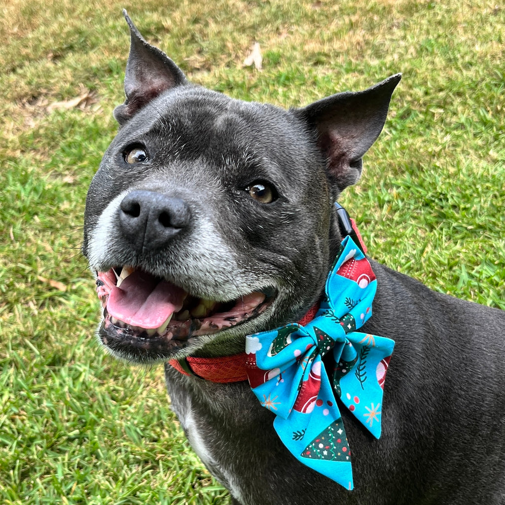 Christmas Collection - XMAS TREES & STOCKINGS