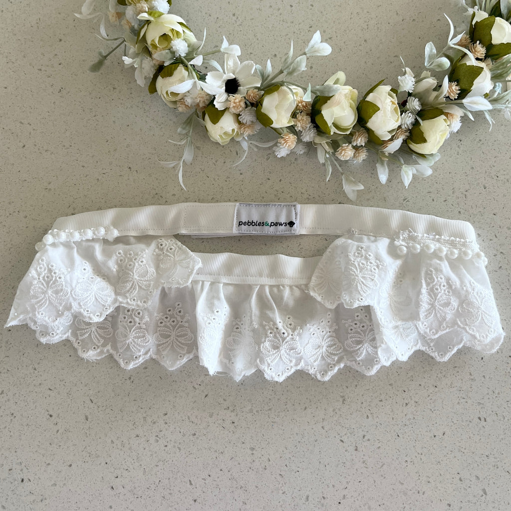 Celeste Wedding Dog Broderie Anglaise Velcro Collar - Ivory