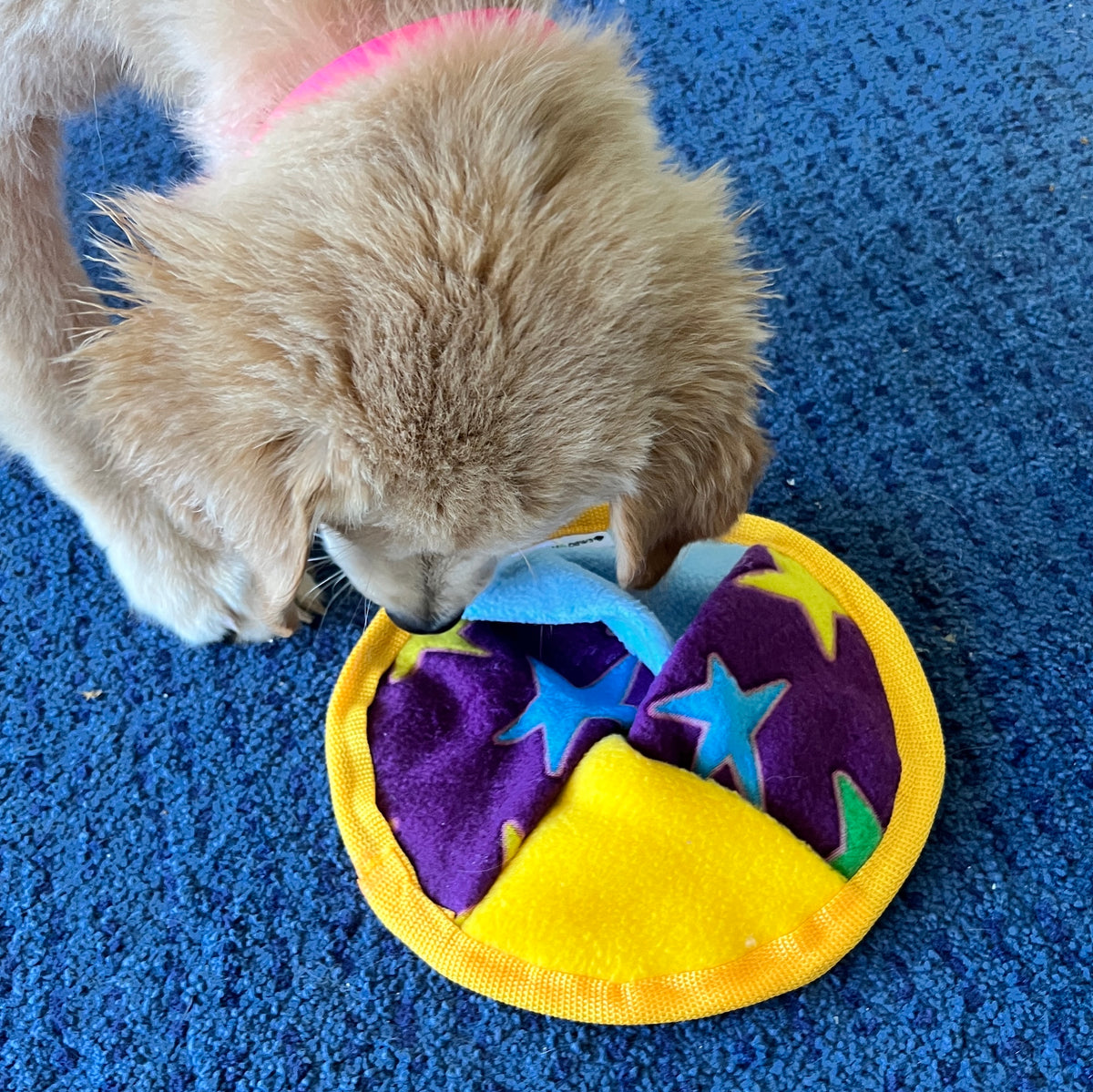 Indoor Pocketed Fleece Treat Snuffle Disc, Dog Enrichment Puzzle ...