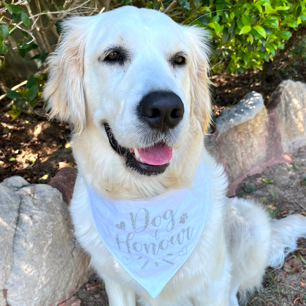 White Linen & Glitter Wedding Dog Bandana - Choice of design