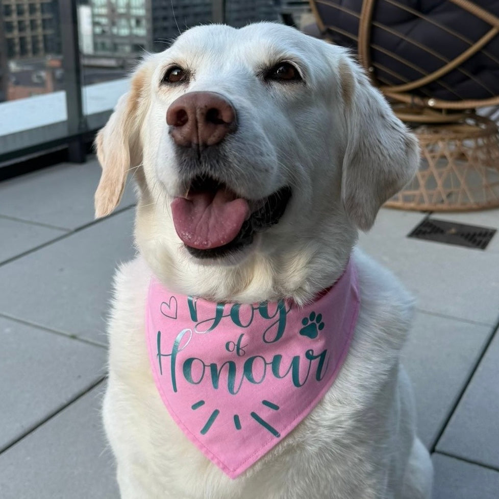 Pastel Wedding Dog Bandana - Choice of fabric colour and design