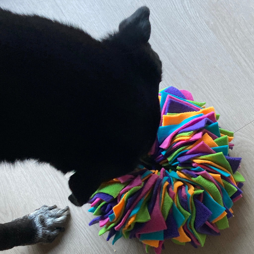 Fleece Snuffle Donut - Dog Enrichment Puzzle