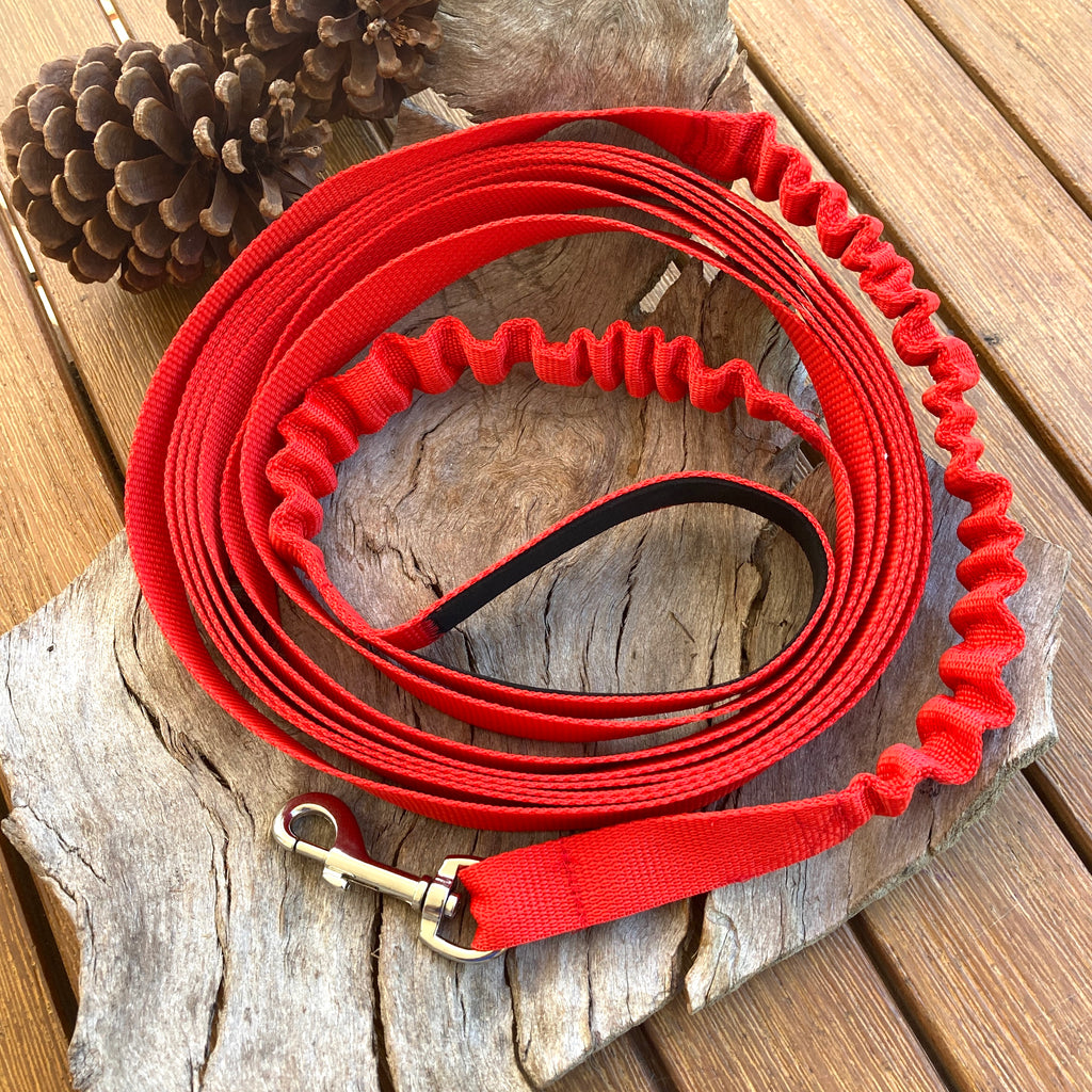 5 metre Long Line Dog Double Bungee Training Lead/Leash, combining freedom with safety