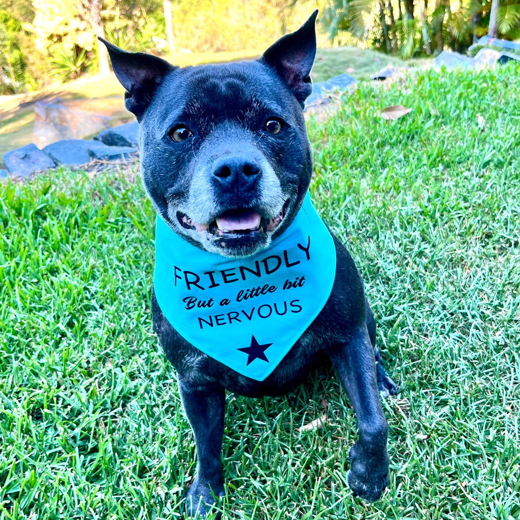 Custom Made Vinyl Transfer Print Dog Bandana - Your Design & Fabric Choice