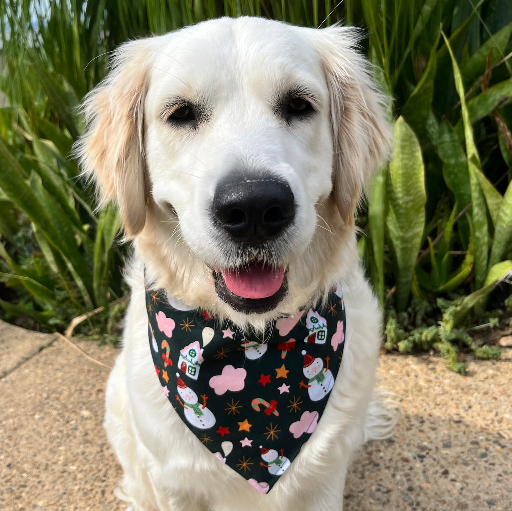 Christmas Collection - SNOWMEN & GINGERBREAD HOUSES