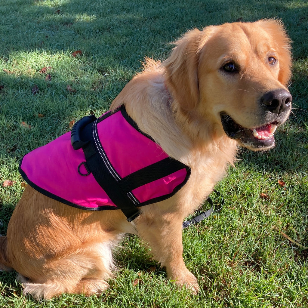 Handled Therapy/Assistance Dog Training Vest/Coat/ with ID Pouch (Badges & Print not included)