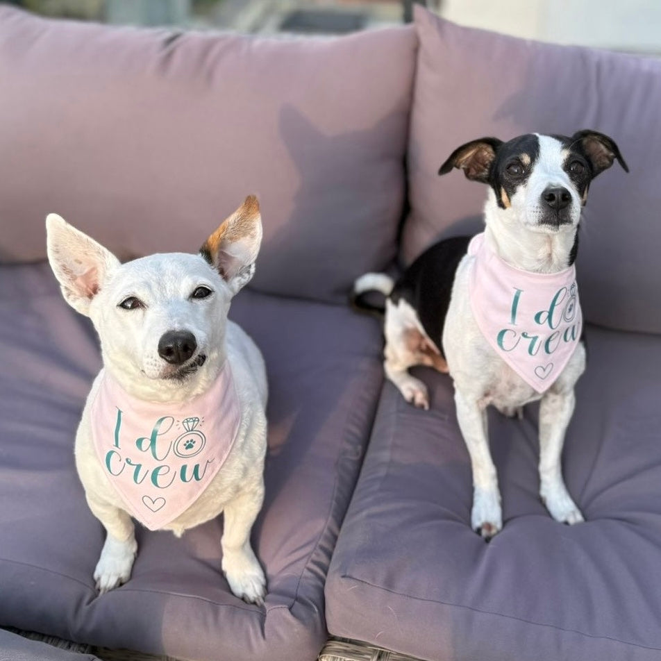 Pastel Wedding Dog Bandana - Choice of fabric colour and design