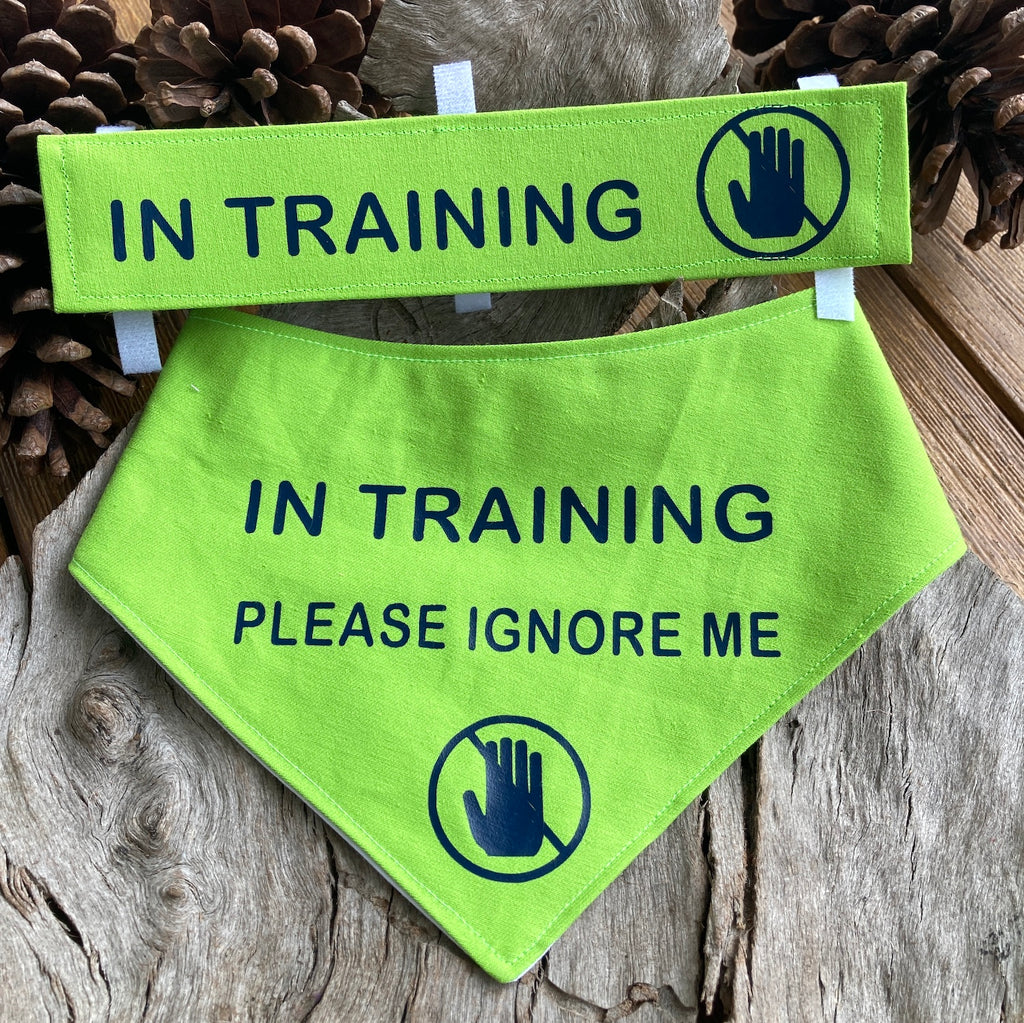 Custom Made Printed Bandana & Lead Strap Set - Your Design & Fabric Choice