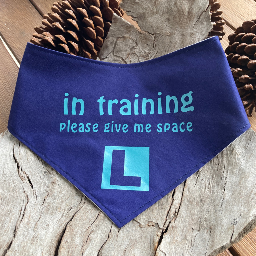 "In Training Please Give Me Space - L Plate" Handmade Dog Bandana - Navy/Aqua