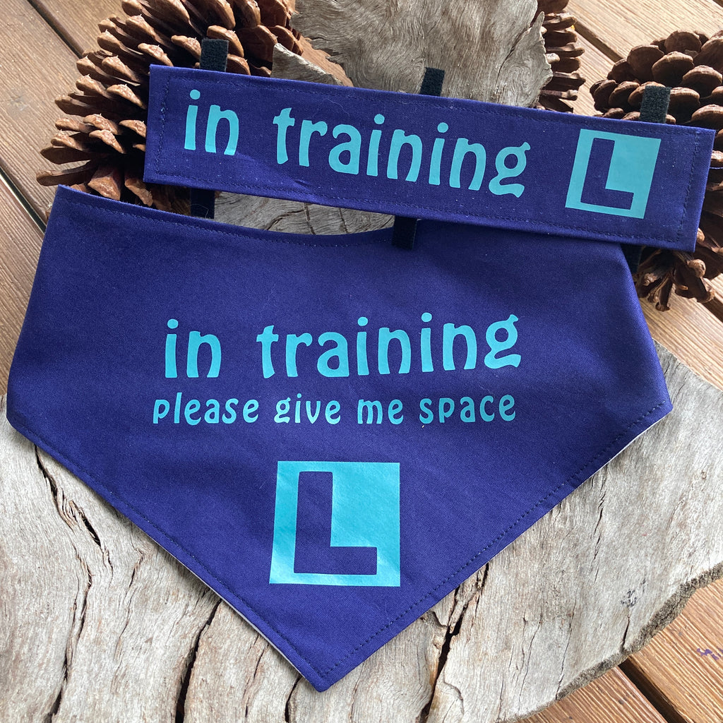 "IN TRAINING" Bandana and Lead/Collar Strap Set" - Navy / Aqua