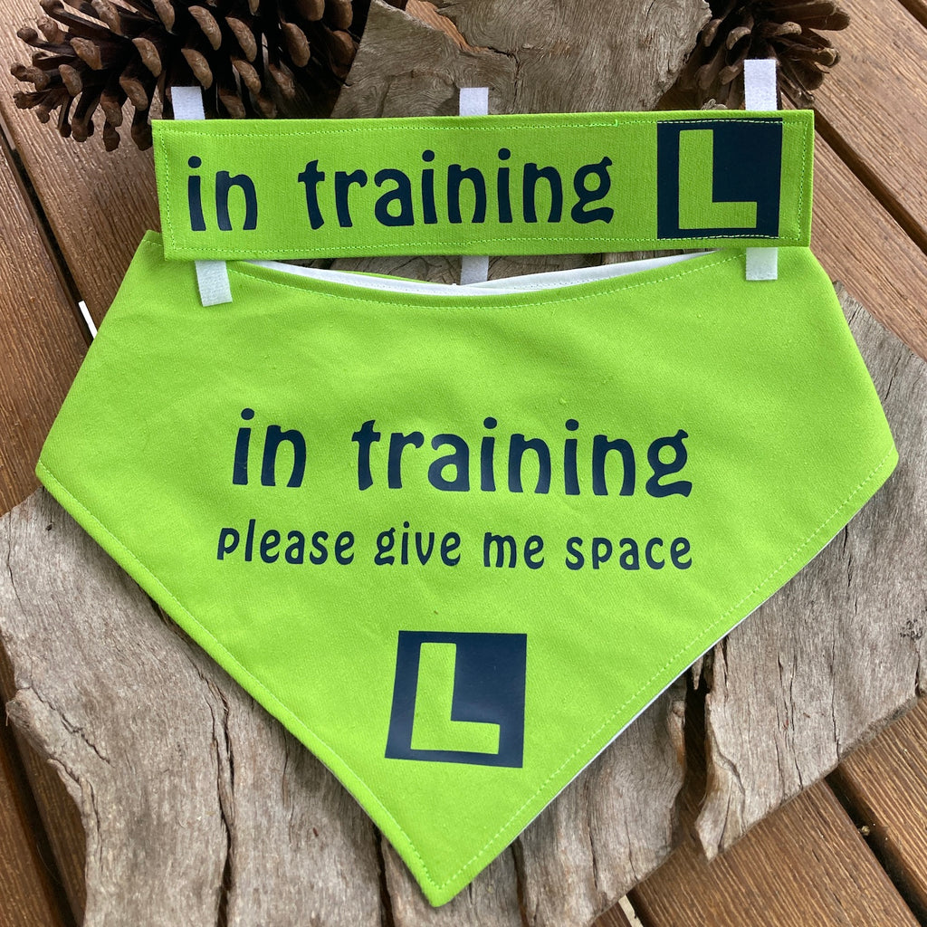 "IN TRAINING" Bandana and Lead/Collar Strap Set" - Lime Green