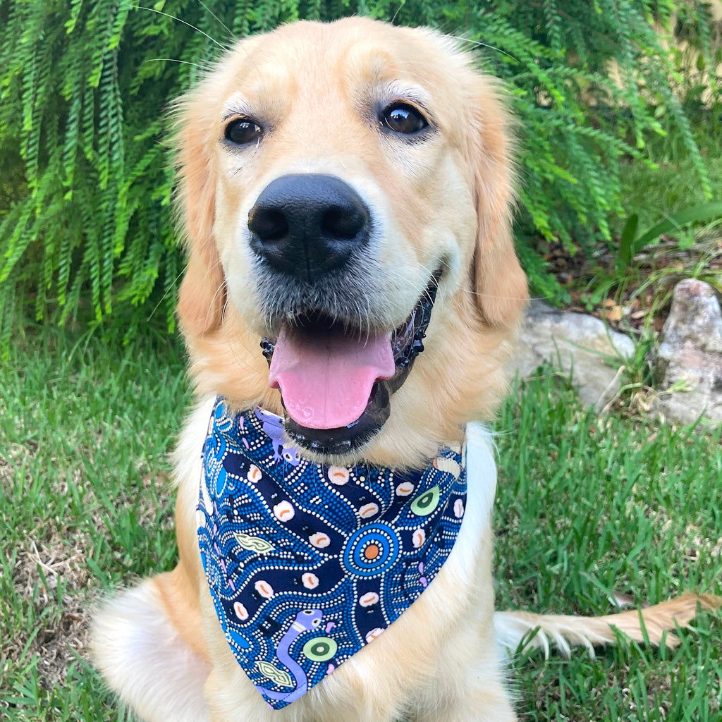 Indigenous Collection - Choose from Dog Bandana, Sailor Bow, Collar Flower or Bow Tie