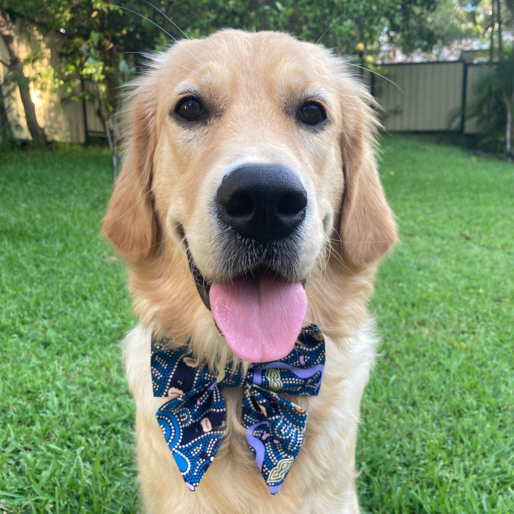 Indigenous Collection - Choose from Dog Bandana, Sailor Bow, Collar Flower or Bow Tie