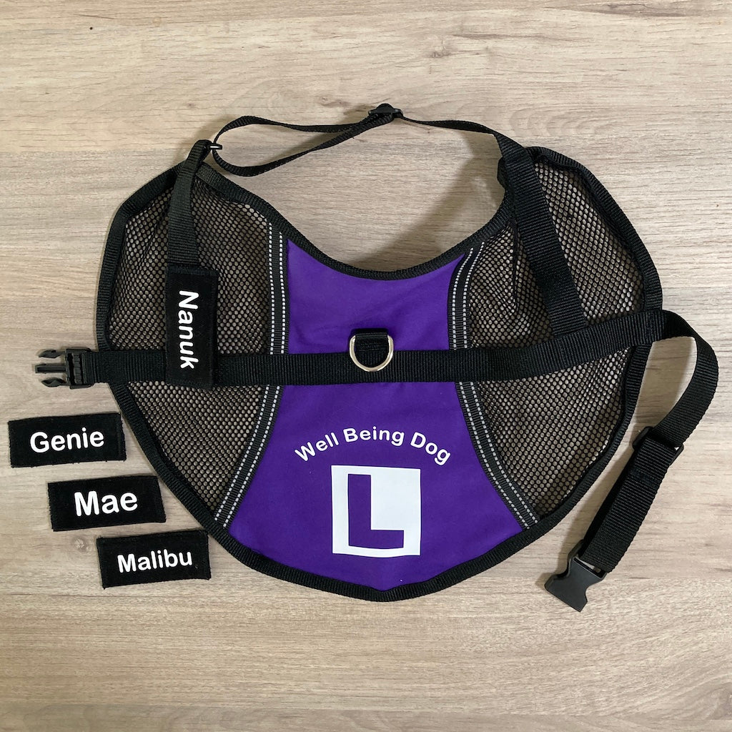 Lightweight Therapy/Assistance Dog/Wellbeing Training Vest/Coat (Badges & Print Not Included)