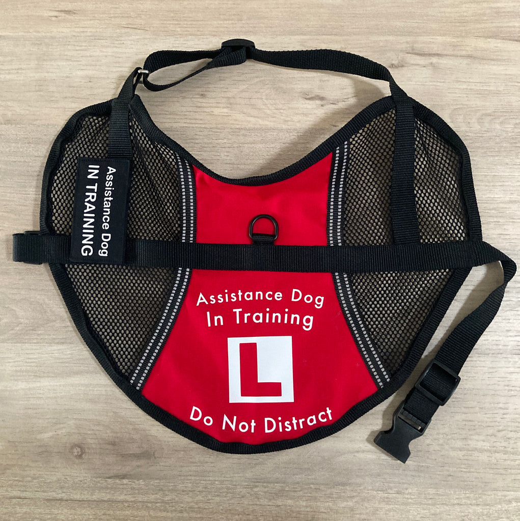 Lightweight Therapy/Assistance Dog/Wellbeing Training Vest/Coat (Badges & Print Not Included)