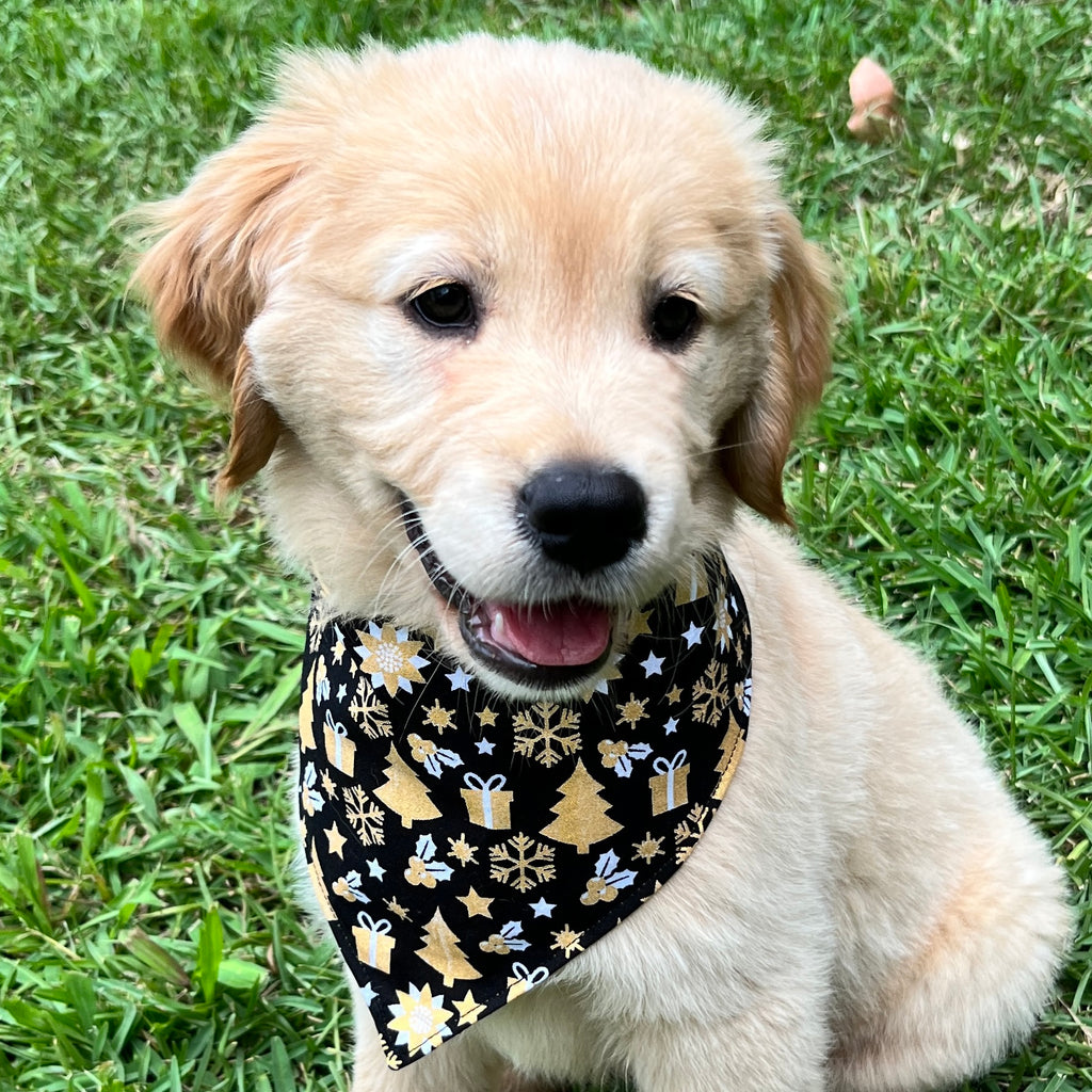 Xmas Dog Bandana, BLACK & GOLD FESTIVE FUN