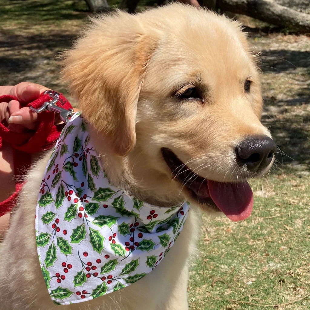 Xmas Dog Bandana, Large Holly Fabric
