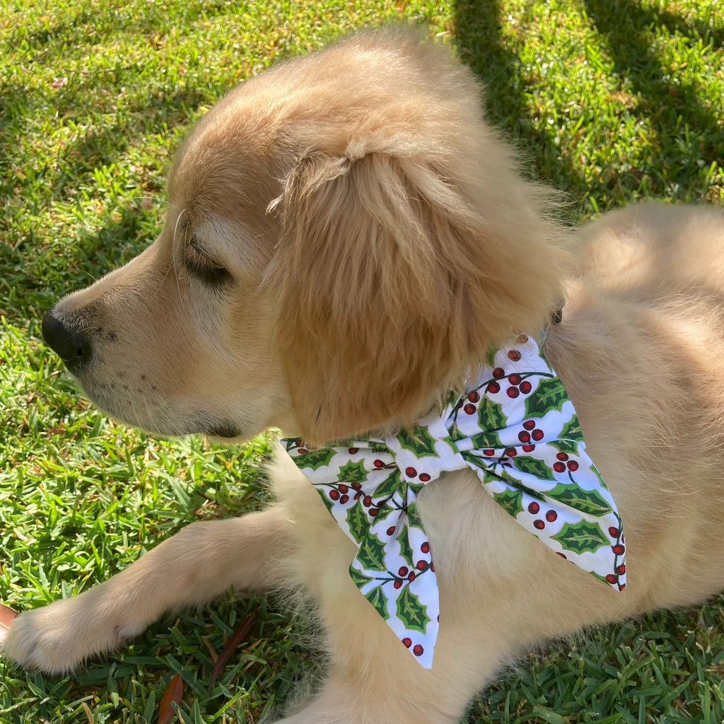 Xmas Dog Sailor Bow - "LARGE HOLLY"