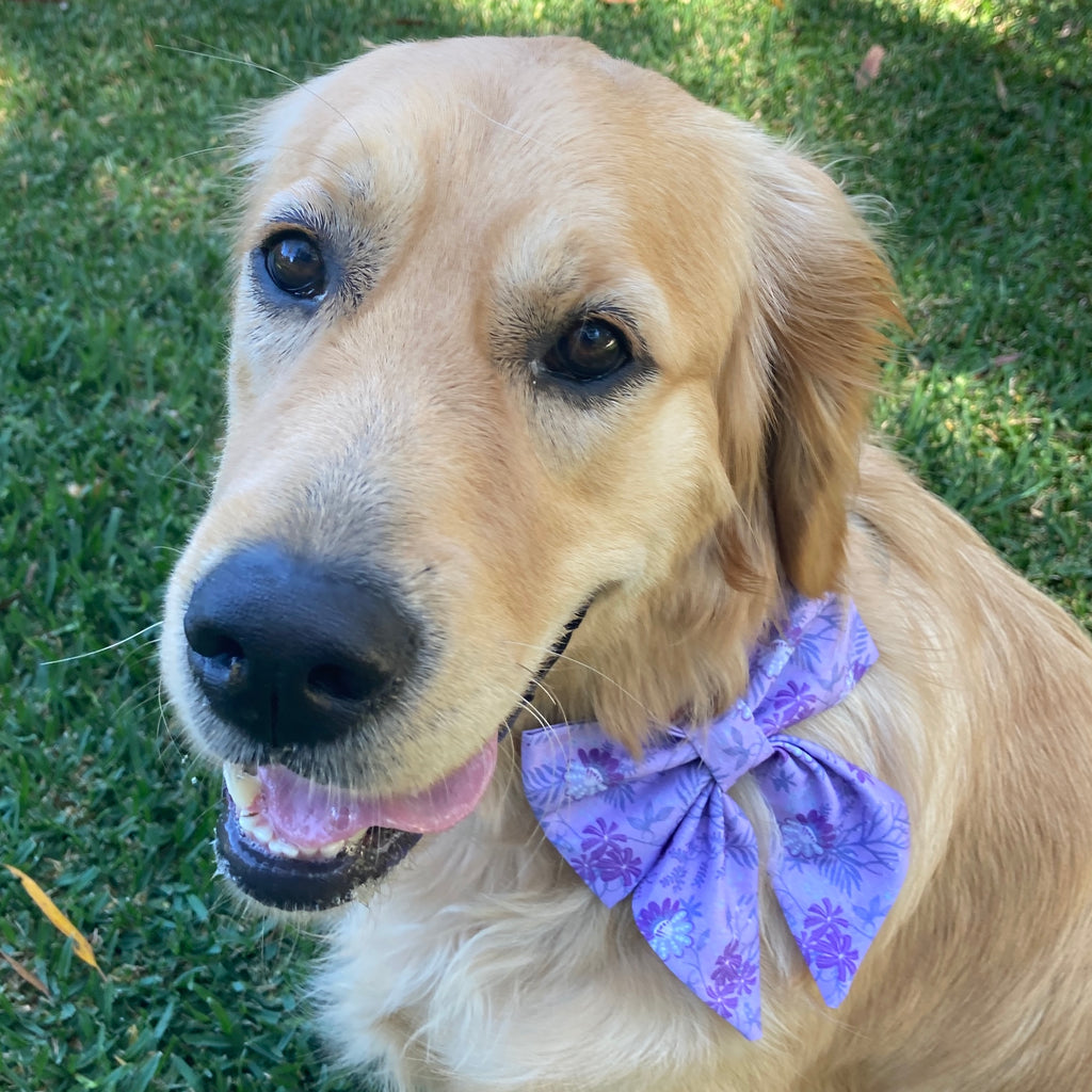 Handmade Dog Sailor Bow, "Lilac Flowers"