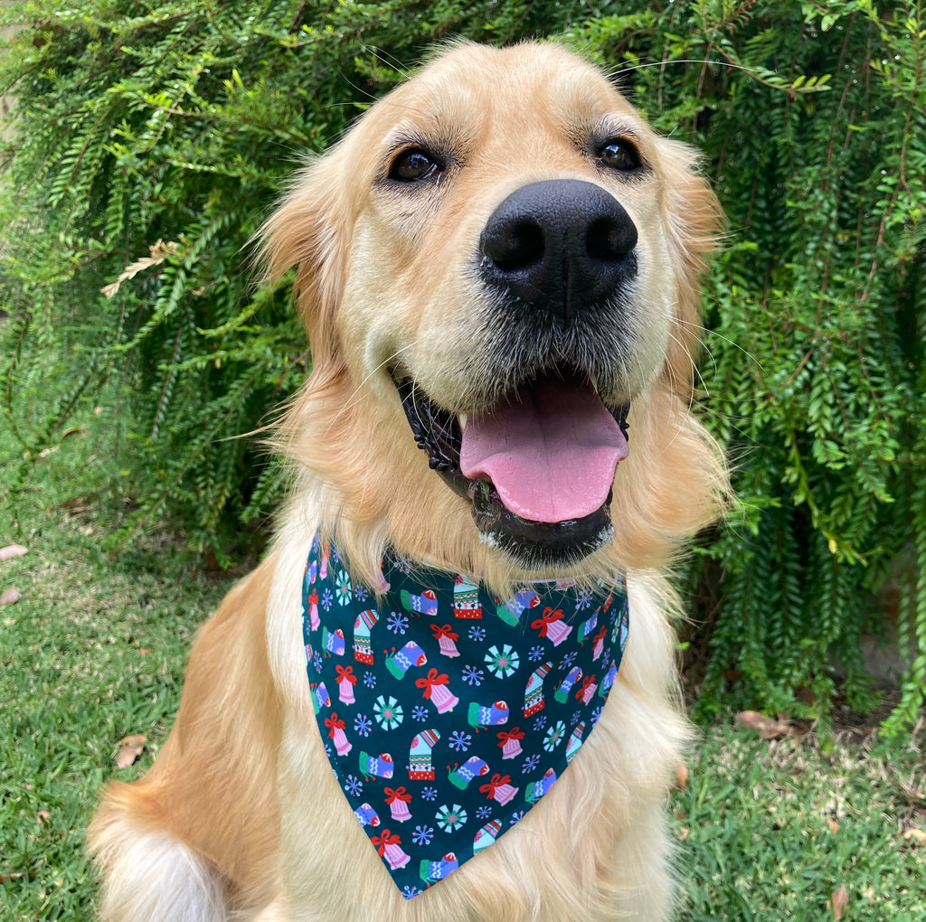 Xmas Dog Bandana, "GREEN STOCKINGS"
