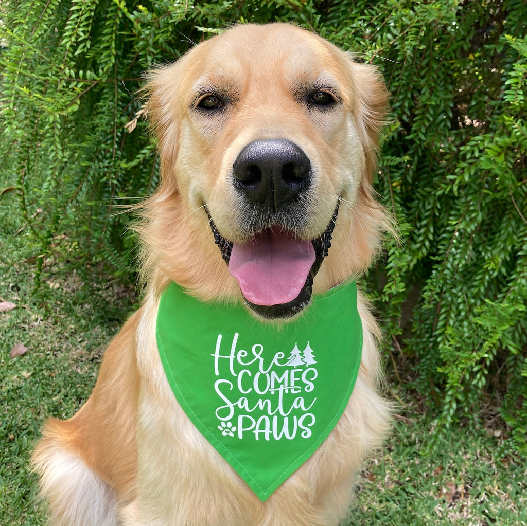 HERE COMES SANTA PAWS! - Printed Xmas Dog Bandana