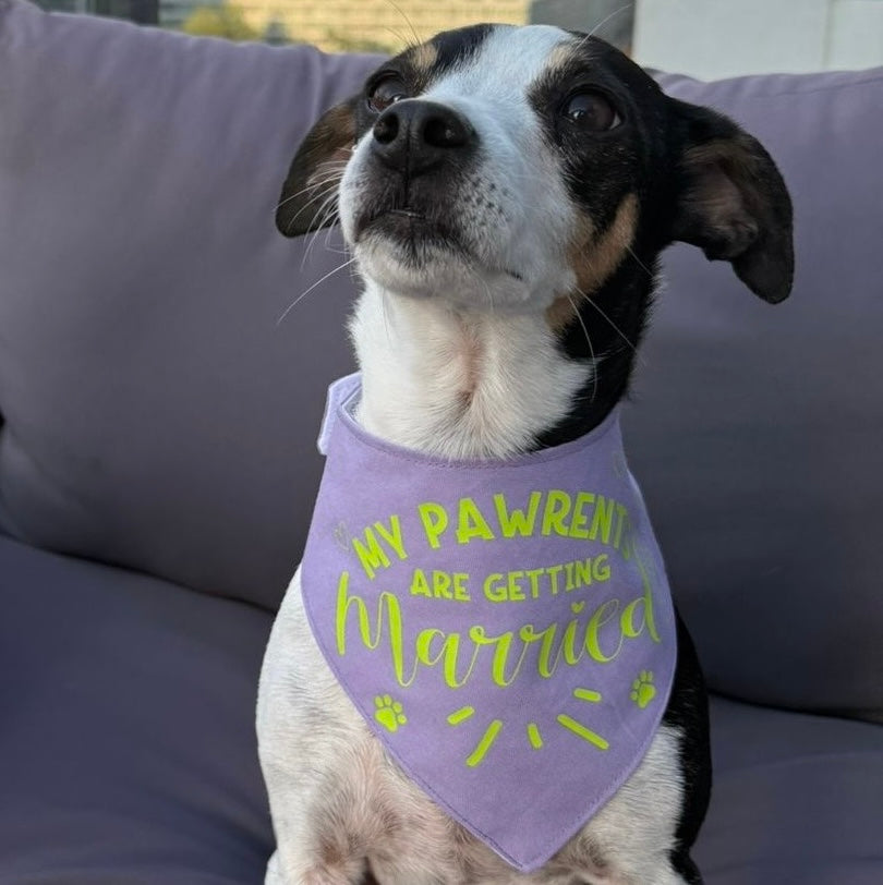 Pastel Wedding Dog Bandana - Choice of fabric colour and design