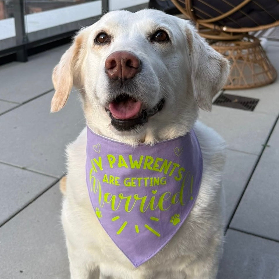 Pastel Wedding Dog Bandana - Choice of fabric colour and design
