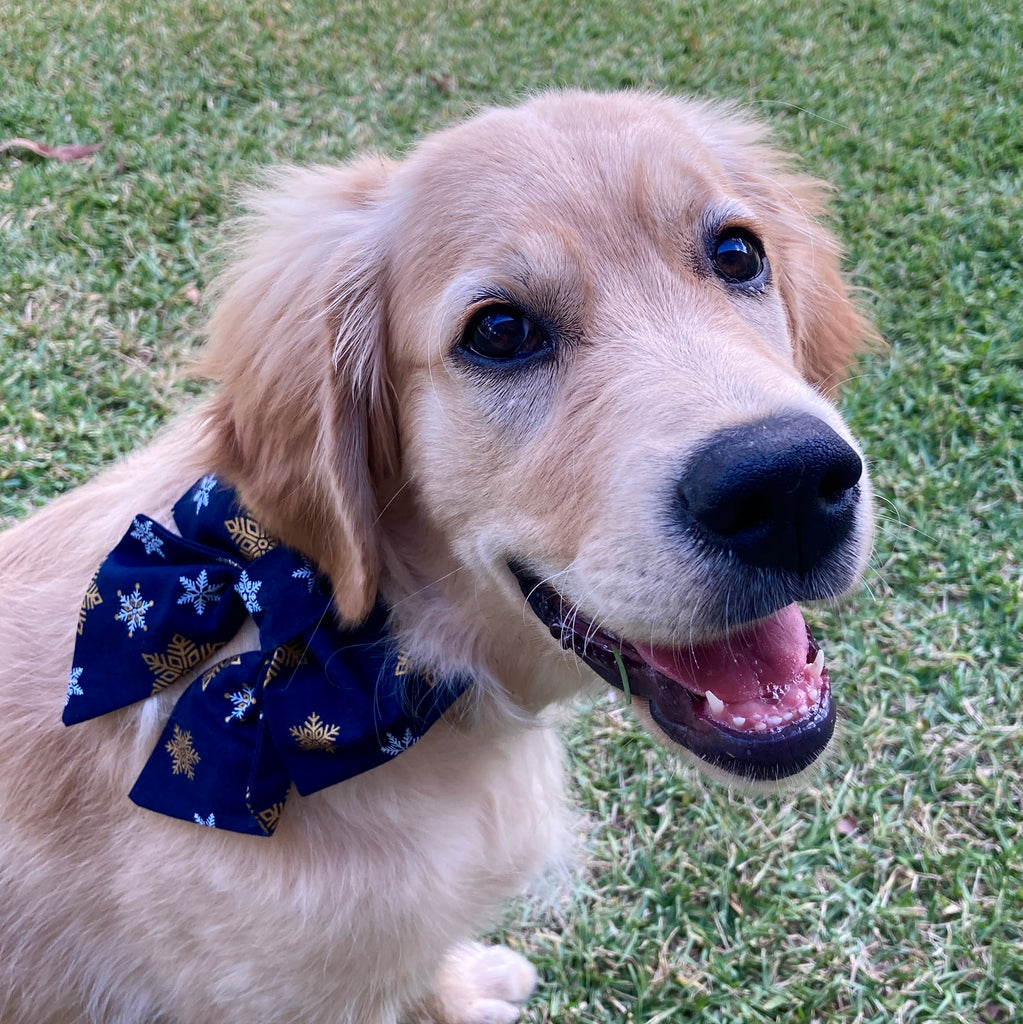 Xmas Dog Sailor Bow - "NAVY SNOWFLAKE"