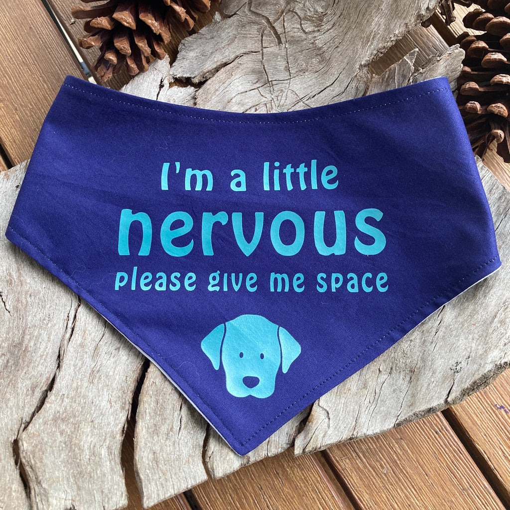 "NERVOUS DOG Bandana and Lead/Collar Strap Set" - Navy / Aqua