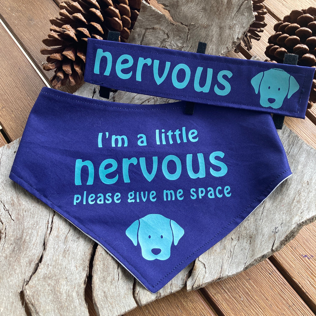 "NERVOUS DOG Bandana and Lead/Collar Strap Set" - Navy / Aqua